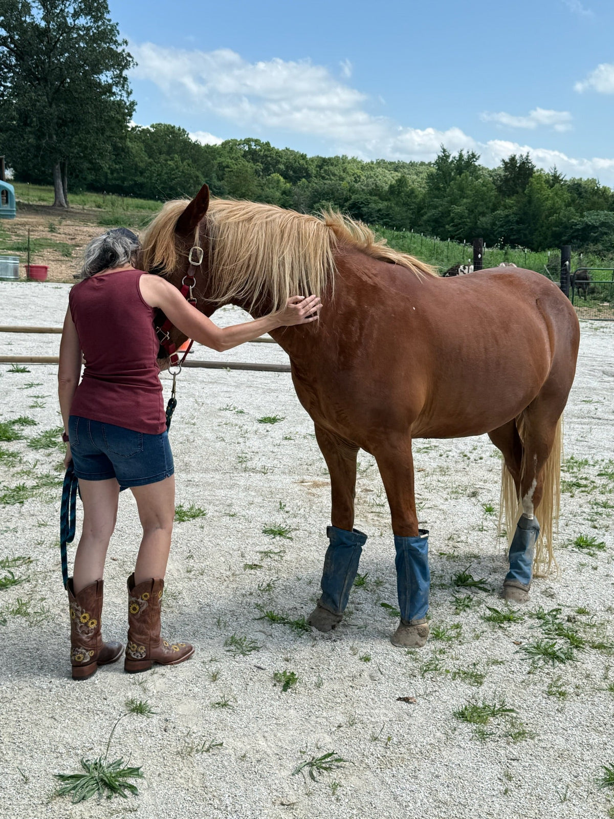 Welcome to Stories of Hope: Where Connection Begins
